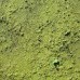 Bio Klamatske alge AFA Globalis, 250 tablet