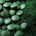 Alge Spirulina 500 mg Globalis, 400 tablet